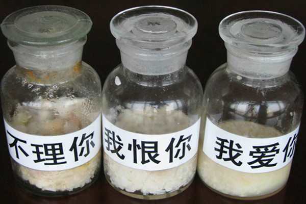 米饭实验